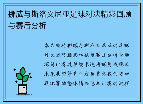 挪威与斯洛文尼亚足球对决精彩回顾与赛后分析