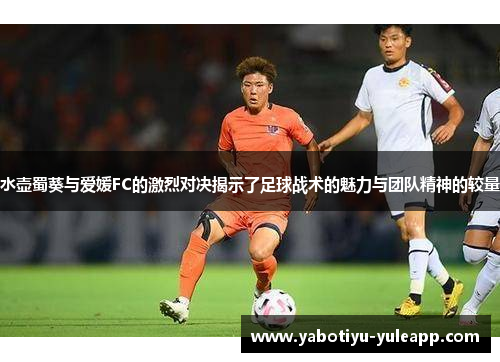水壶蜀葵与爱媛FC的激烈对决揭示了足球战术的魅力与团队精神的较量
