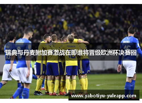 瑞典与丹麦附加赛激战在即谁将晋级欧洲杯决赛圈